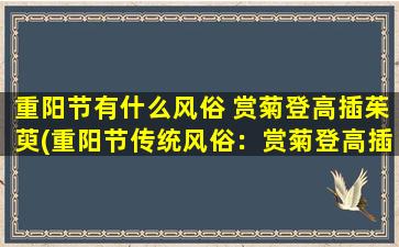 重阳节有什么风俗 赏菊登高插茱萸(重阳节传统风俗：赏菊登高插茱萸，了解一下！)